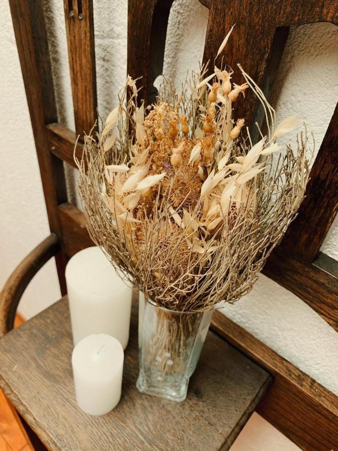 Villa La Isolina ビージャ・ヒアルディノ エクステリア 写真