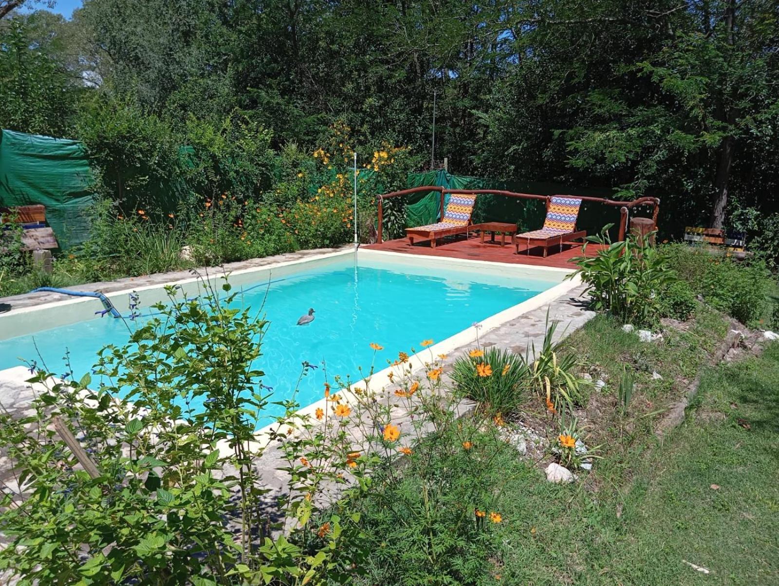 Villa La Isolina ビージャ・ヒアルディノ エクステリア 写真