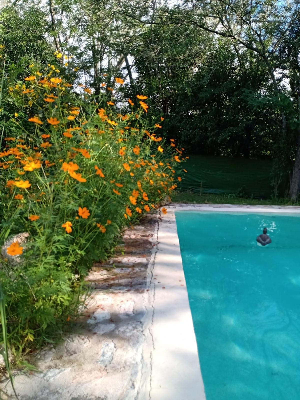 Villa La Isolina ビージャ・ヒアルディノ エクステリア 写真